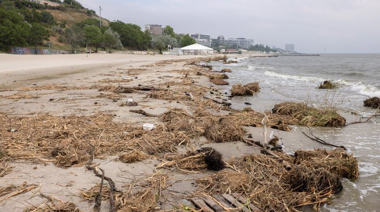 Plajele din Odesa au fost închise. Autoritățile au găsit salmonella și E. Coli în apă