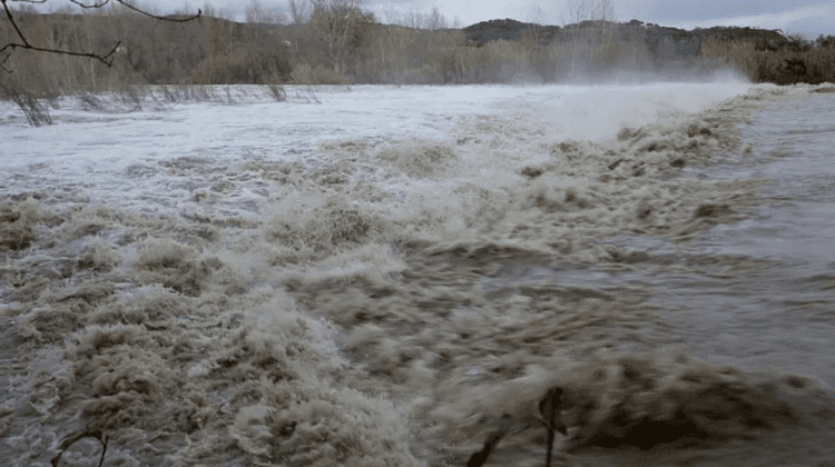 VIDEO Curțile și grădinile oamenilor – inundate. Ploile au făcut din nou ravagii în două județe din România