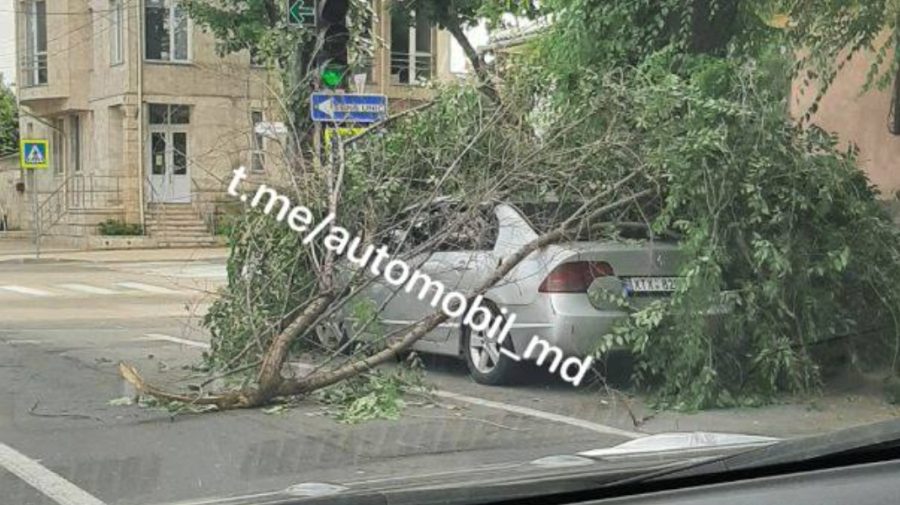 Ghinion pentru un șofer din Capitală! Un copac a căzut peste mașina sa, chiar în centrul orașului