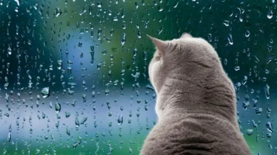Ziua soare, noaptea ploi! Ce temperaturi prognozează meteorologii pentru acest weekend