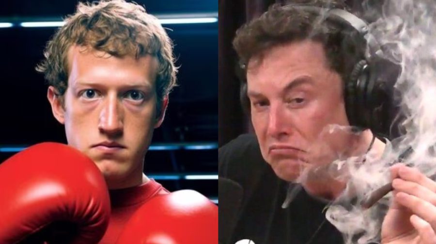 Bătălia titanilor se amână? Mama lui Elon Musk i-a interzis miliardarului să lupte cu Zuckerberg