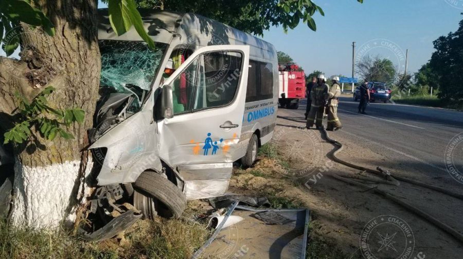 VIDEO Accident grav în stânga Nistrului: Un microbuz a ajuns în copac