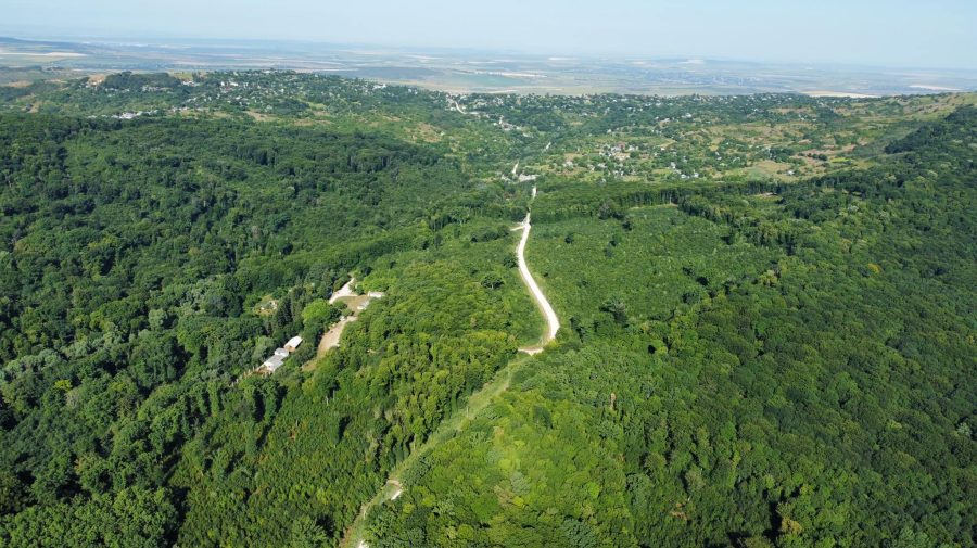 Bombă de pe timpul celui de-al Doilea Război Mondial – găsită într-o rezervație din Ungheni. Detalii
