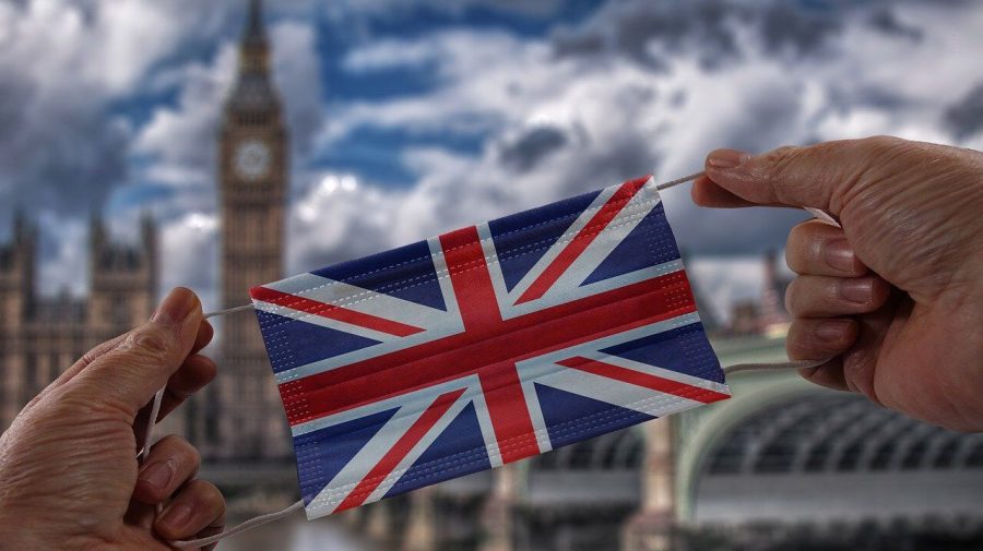 Marea Britanie: Sub tensiune, comisia de anchetă privind pandemia îşi începe audierile