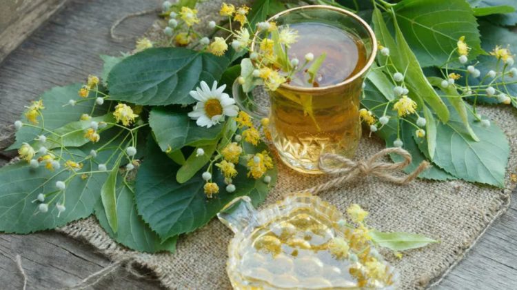 Gustos și sănătos: Beneficiile ceaiului de tei și modalitățile de preparare