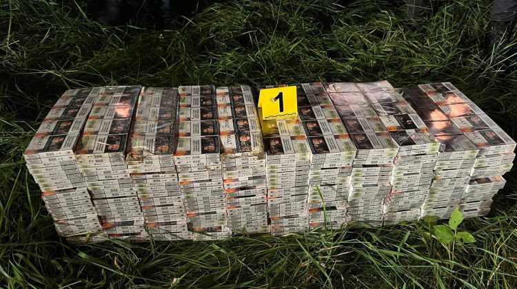 FOTO Contrabanda înflorește! Peste 14 000 de pachete cu țigări – depistate la frontiera moldo-română