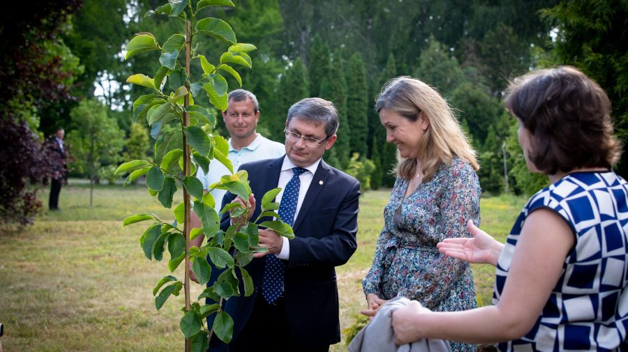 FOTO Semn de prietenie între țări! Igor Grosu și omologul său francez au puieți de magnolie la Grădina Botanică