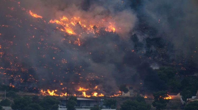 VIDEO Incendii masive de vegetație: Zonele din Grecia cel mai grav afectate
