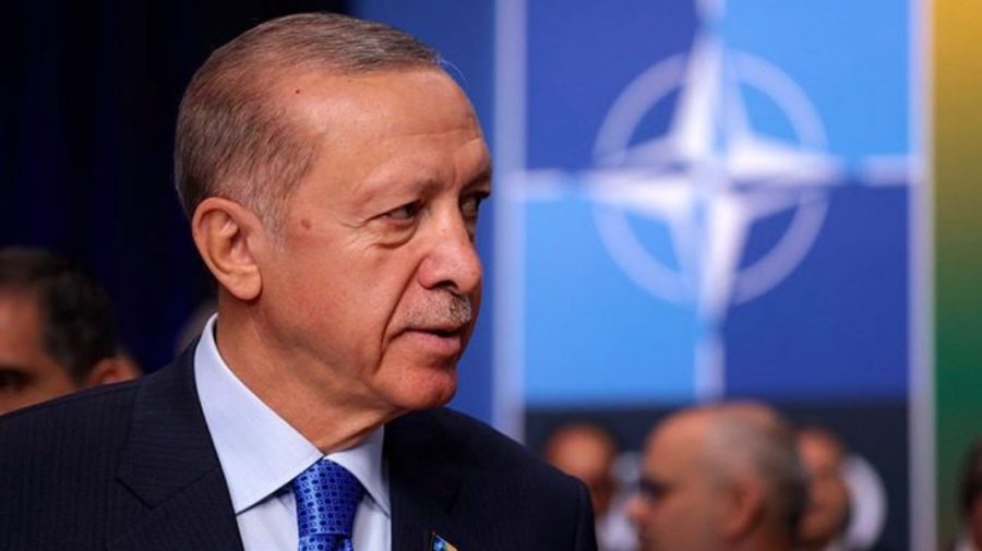Presa internațională, citând cuvintele lui Erdogan, anunță că Putin a fost de acord să prelungească acordul cu cereale