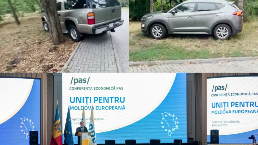 După faptă și răsplată? Cinci șoferi care au scormolit nămolul într-un parc din capitală, amendați
