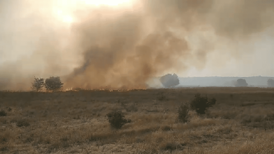 VIDEO Incendiu la frontieră cu Ucraina: Focul s-a extins pe o suprafață de 1,5 ha