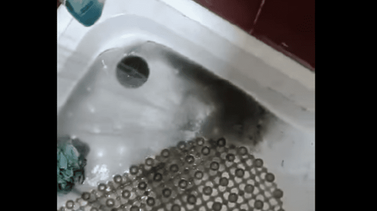 VIDEO La Hîncești, din robinet, curge apă neagră: ”În spital tot așa curge și la toți l-i p…”