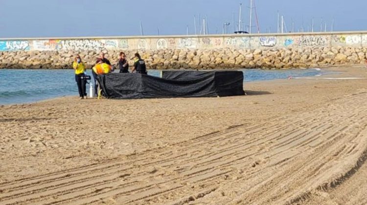 Cadavrul fără cap al unui copil, descoperit pe o plajă în Catalonia. Părea o păpușă…