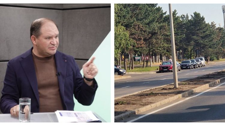 FOTO Ceban, indignat: Arbuștii de pe aleea din strada Calea Orheiului au fost furați. A fost depusă plângere la poliție