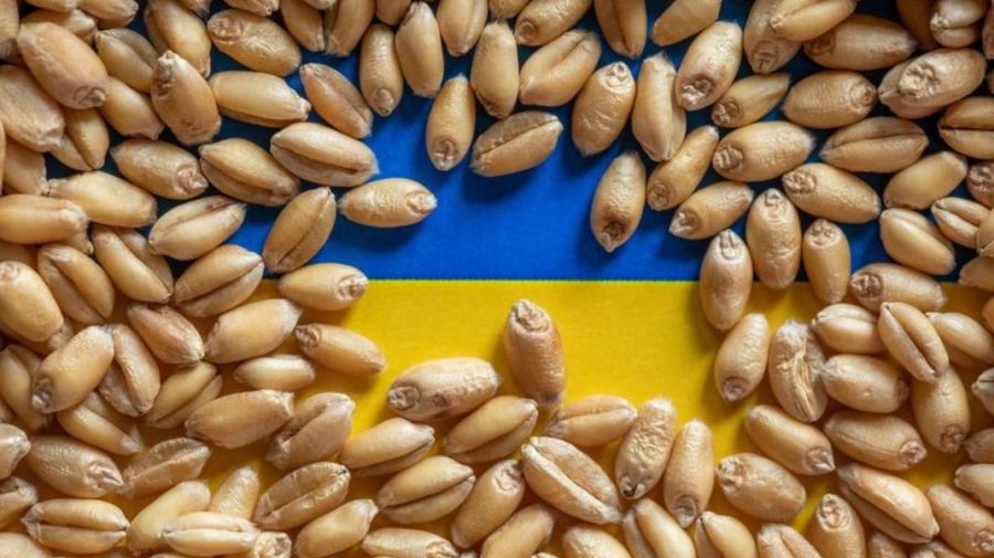 Polonia, Slovacia și Ungaria mențin restricțiile privind importul cerealelor ucrainene: Este în interesul fermierului