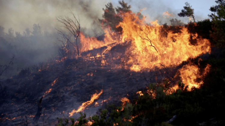 Incendii în Grecia: MAEIE îndeamnă cetățenii moldoveni să evite zonele afectate