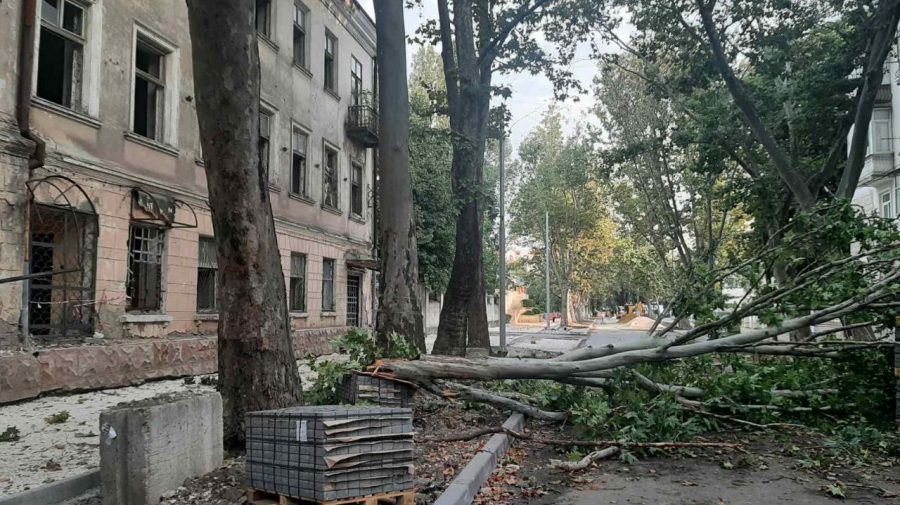 FOTO Copacii din Chișinău au căzut peste fire electrice, carosabil și mașini. Serviciile municipale se află în teren