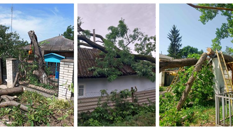 FOTO, VIDEO Ploile din țară au distrus acoperișuri, depozite și culturi agricole! Prejudiciile provocate de intemperii