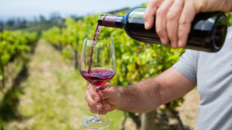 BANI.MD Rusia lovește din nou: Majorează taxele pentru vinurile din statele „neprietene”. Este vizată și Moldova?