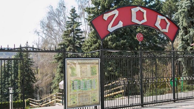 Încă un motiv pentru a vizita Grădina Zoologică. Maturii vor achita mai puțin pentru un bilet de intrare