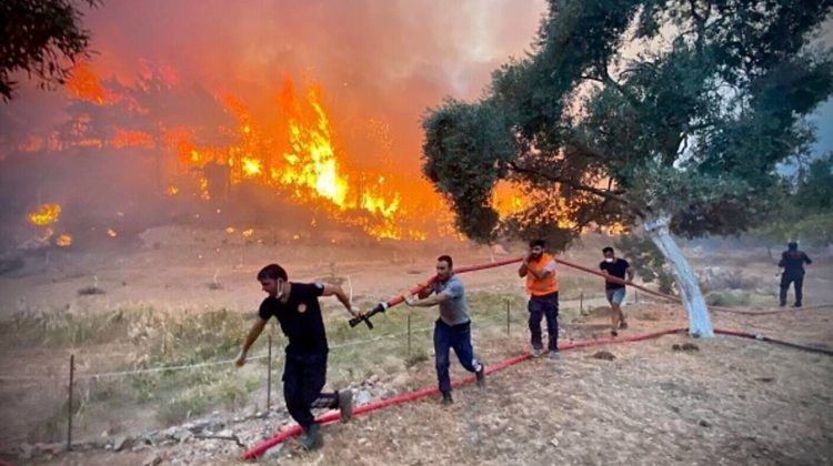 18 cadavre, găsite într-o pădure din Grecia după incendii. Morții ar fi migranți