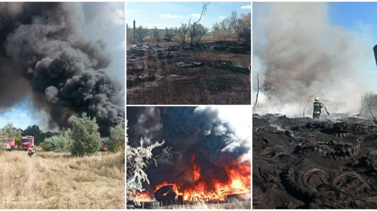 Imagini îngrozitoare de la incendiul din Strășeni. IGSU: ”Au ars mai multe anvelope, gunoi și …”