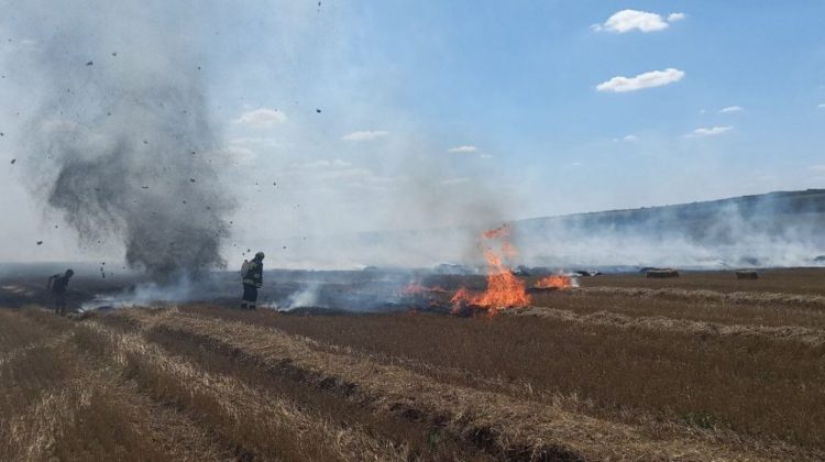 FOTO Incendii de vegetație în toată Moldova. 76 de focare, lichidat timp de 24 de ore