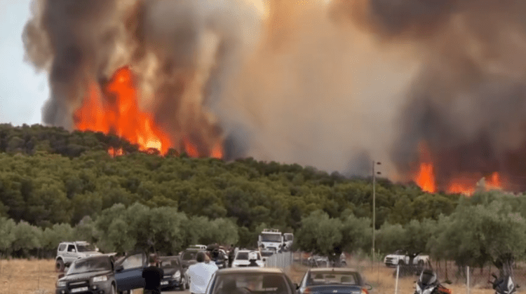 Guvernul grec oferă o săptămână gratuită de vacanță turiștilor evacuați din Rodos din cauza incendiilor