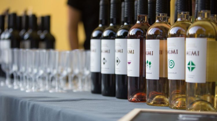 La VinOpera, va avea loc Vernisajul Vinului. Vino la Castel Mimi şi cunoaşte micii producători din ţară!