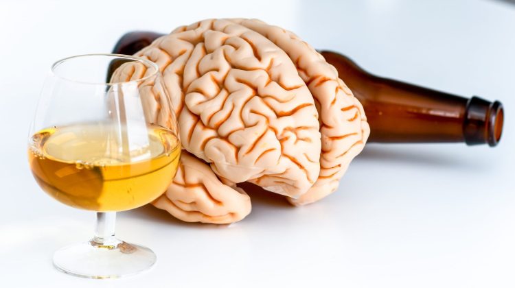Studiu. Până şi o singură picătură de alcool reduce dimensiunea creierului