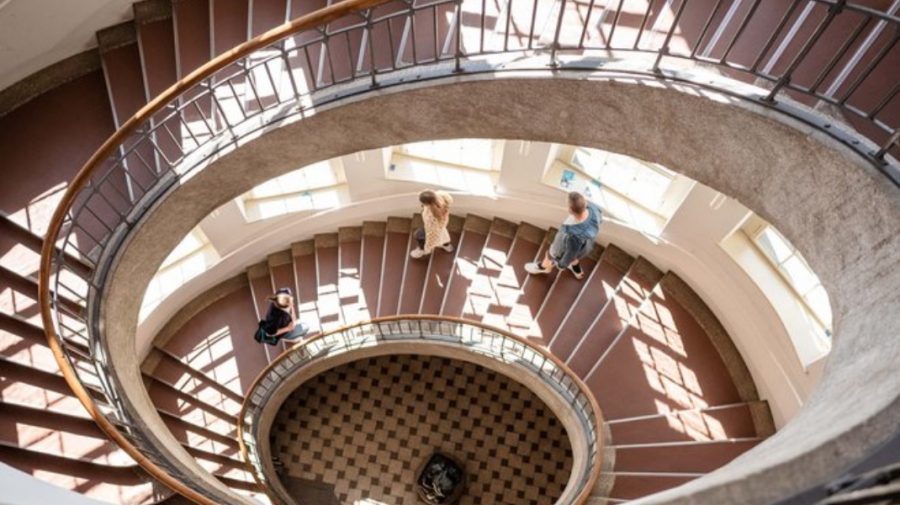Studenții Universității germane Bauhaus au fost învățați cum să filmeze porno