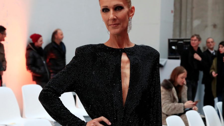 Sora celebrei Celine Dion rupe tăcerea: Nu putem găsi un medicament care să o ajute