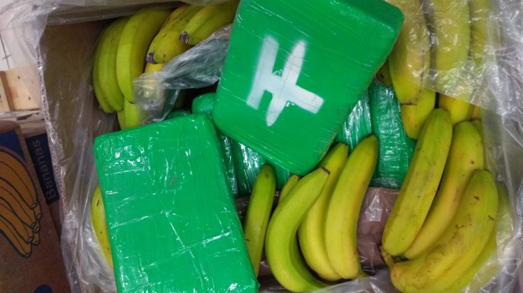 Cehia: Peste 600 de kilograme de cocaină, ascunsă printre banane