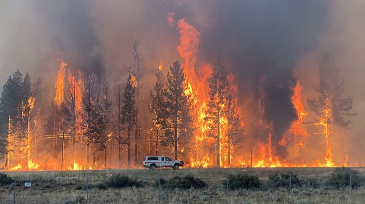 California, pârjolită de incendii de vegetaţie. Pompierii locali folosesc inteligenţa artificială. Pentru ce?