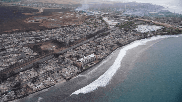 VIDEO Incendii în Hawaii: Numărul deceselor îl depășește pe cel al tsunamiului din 1960