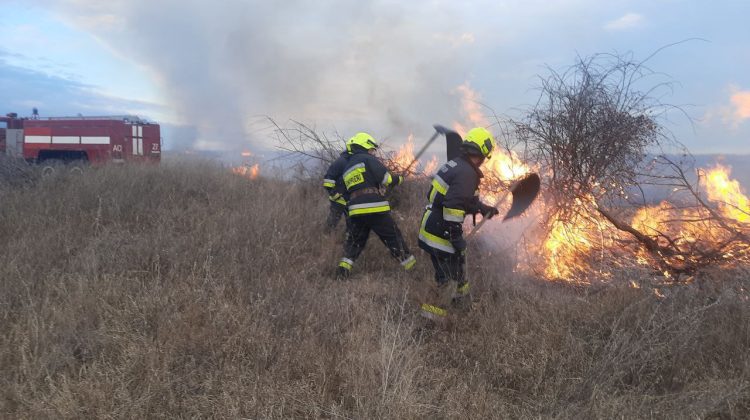 Incendiu pe suprafață extinsă la Stăuceni: Primarul roagă locuitorii să ajute la stingerea flăcărilor