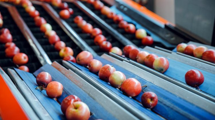 Recolta de mere din acest an va fi mai mare! Producătorii examinează noi strategii de export a recoltei