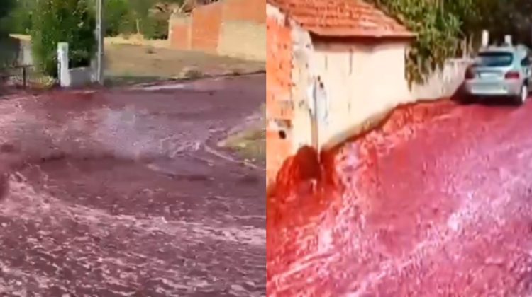 VIDEO Râuri de vin pe o stradă din Portugalia. Cum e posibil?
