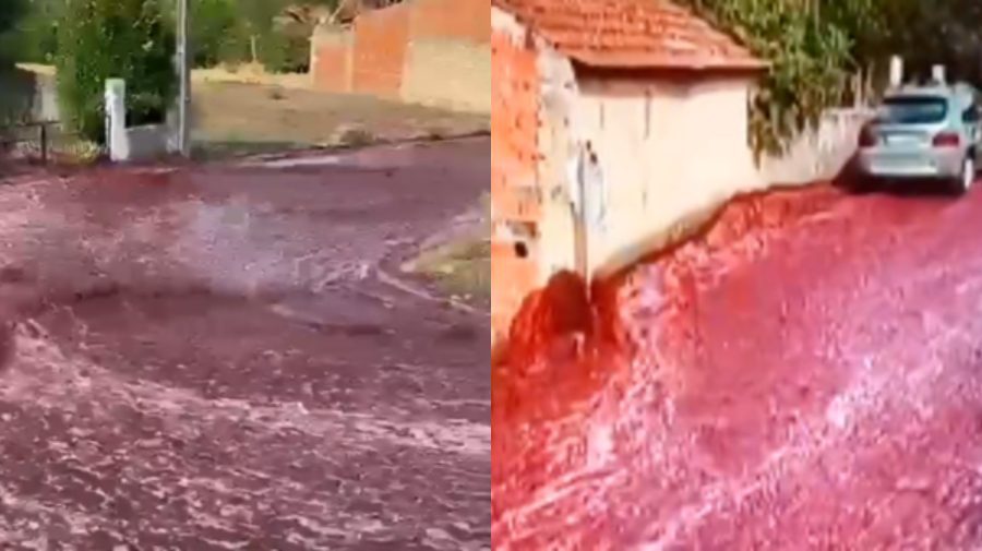 VIDEO Râuri de vin pe o stradă din Portugalia. Cum e posibil?