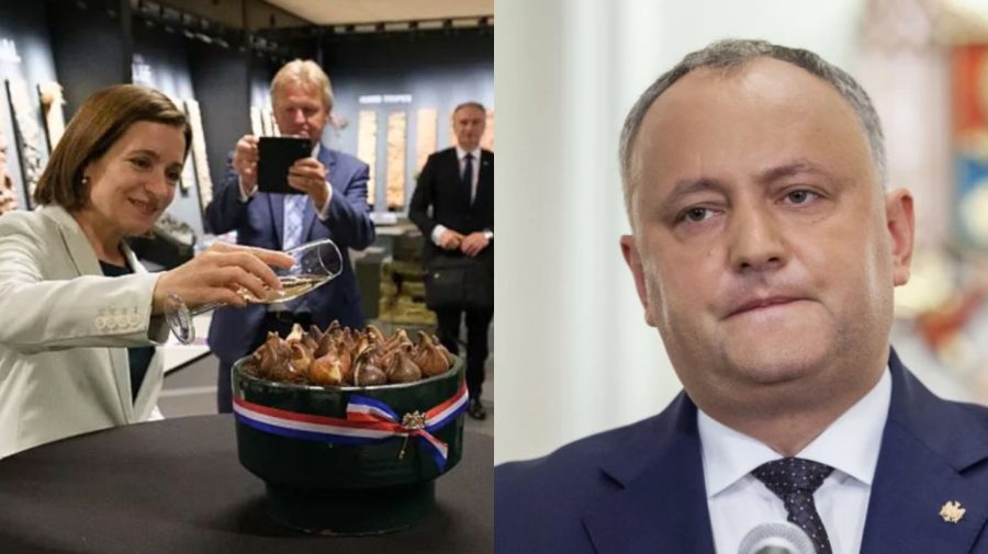STOP CADRU Dodon, despre „madame tiulipan”: „O bătrânică mi-a spus – cucoana Chiriță se plimbă prin zagraniță”