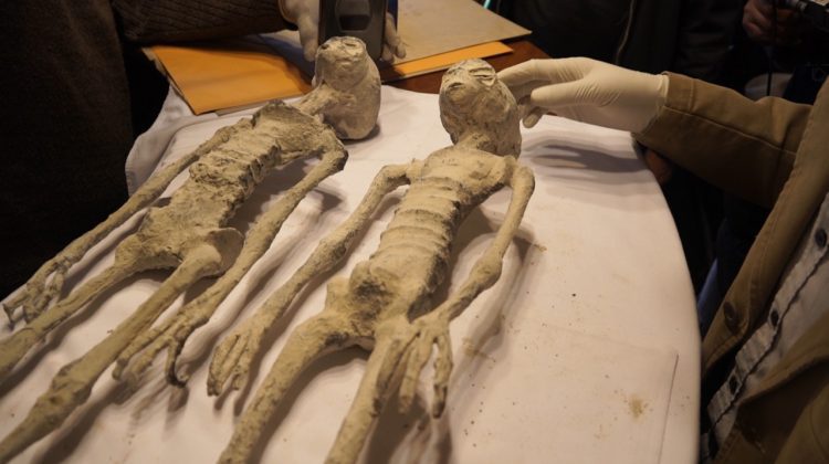 VIDEO Două pseudo-mumii de extratereştri au fost prezentate deputaţilor din Mexic
