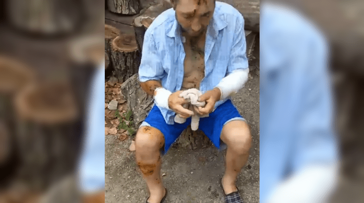 VIDEO Groaznic și grav! Un bărbat din satul Baimaclia a fost desfigurat de o haită de câini de rasă