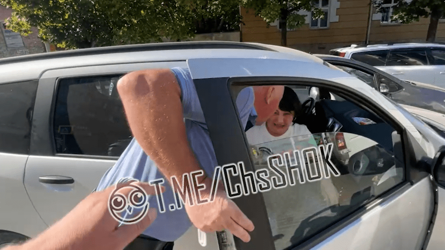 STOP CADRU „Sveta, liniștește-te!” O femeie, băgată cu forța într-o mașină. Poliția: Căutăm persoanele