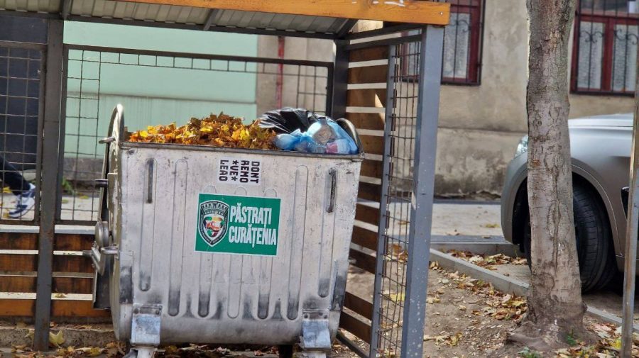 FOTO Apel către locuitorii Capitalei: Nu aruncați deșeurile vegetale în containere