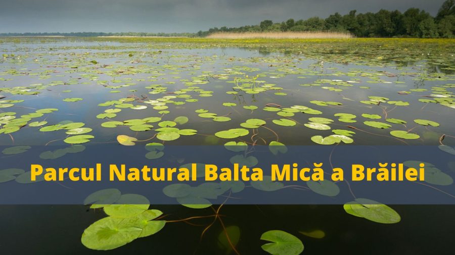 VIDEO România turistică: Parcul Natural Balta Mică a Brăilei
