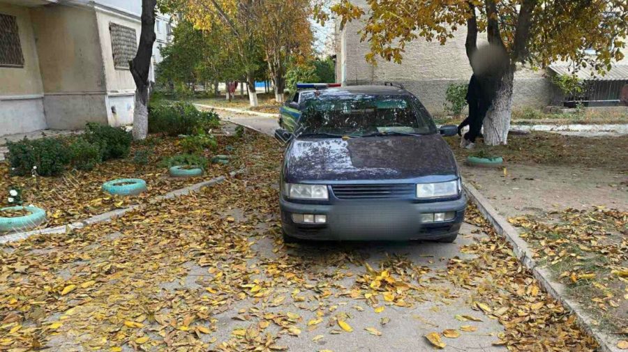 O bătrână de 72 de ani a murit lovită de o mașină, în timp ce aduna nuci