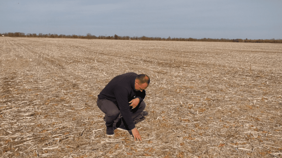 VIDEO Agricultorii riscă să falimenteze. Recolta medie la hectar scade tot mai mult