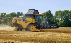 România introduce un mecanism de autorizare pentru importul de cereale din Ucraina și Republica Moldova