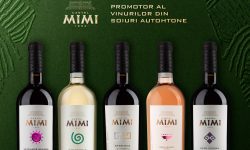 Castel Mimi – promotorul vinurilor din soiuri autohtone şi a simbolurilor tradiţionale