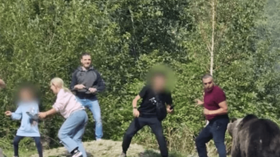 Panică pe Transfăgărășan! Mai mulți turiști au fost la un pas să fie atacați de un urs